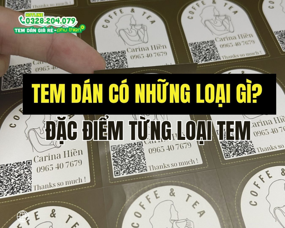 Tem nhãn có bao nhiêu loại? Cách phân biệt từng loại