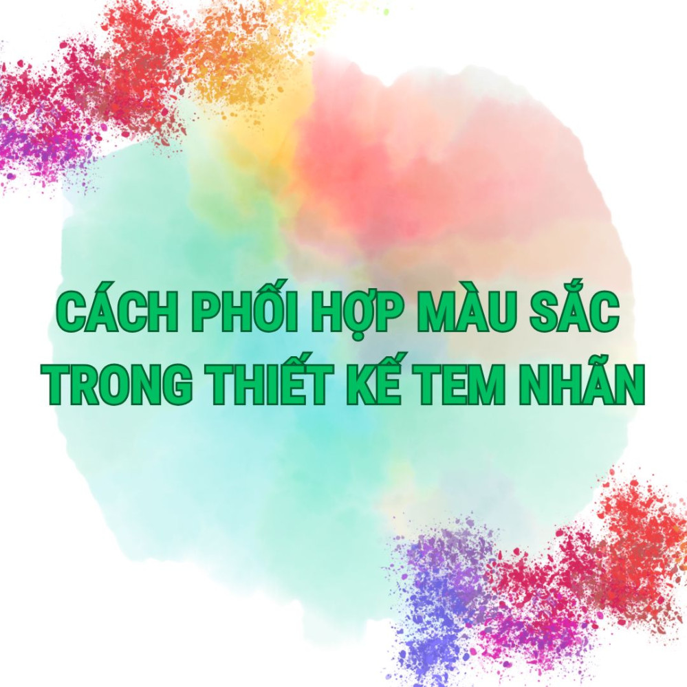 thiet ke tem nhan nha trang (3)